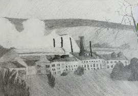Быкова Амина, 12 лет, Сахарный завод