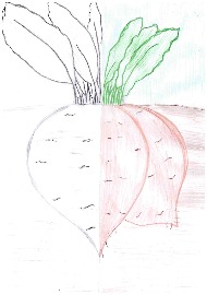 Сухина Ксения, 4 года_Страница_1